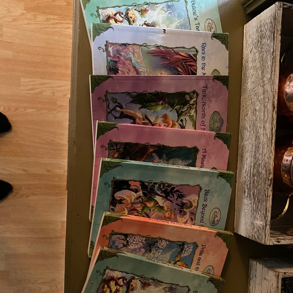 Set of 7 Fairies Books